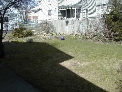 Our backyard; West Avenue Us